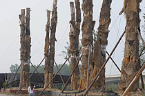 ���պϷ�98����r(ji��)�Ř伯�w����