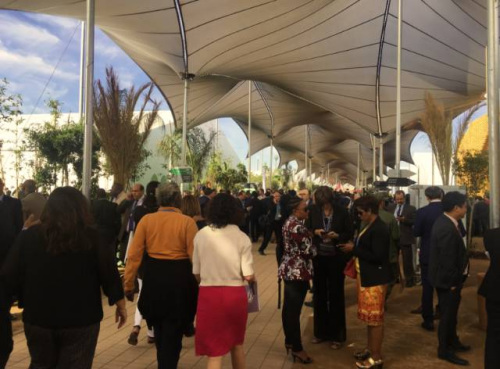 �R������������F(xi��n)����<a target='_blank' >������</a>�፹ �z��