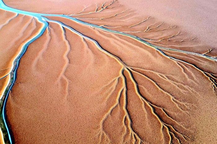 山東東營：黃河入?？诂F(xiàn)“潮汐樹”景觀