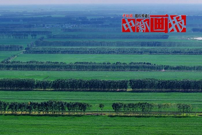 “植”此青綠 “綠色能量”根本收不完！