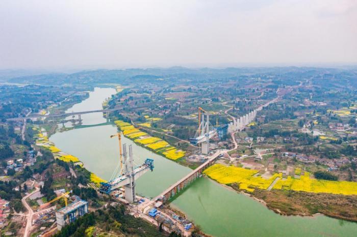 沱江河畔油菜花?！吧暇€”