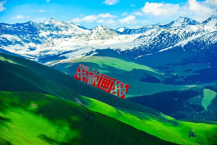 將夏天的“綠” 裝進屏幕里，一組護眼壁紙請查收！