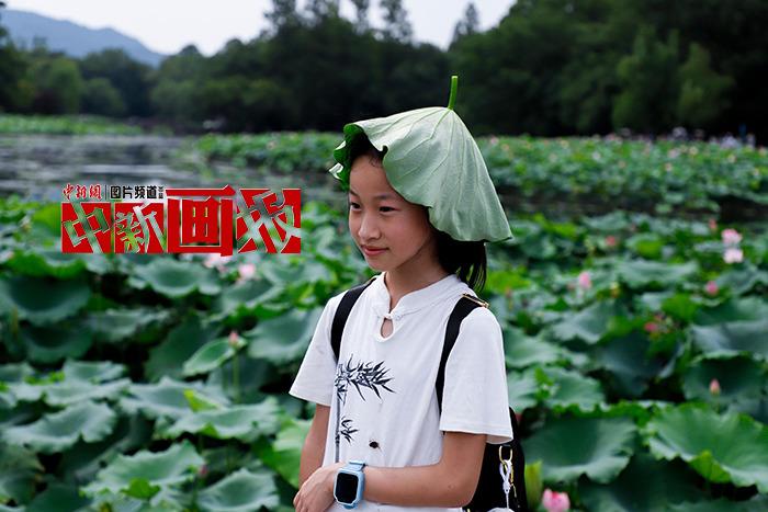 入伏有“涼”方 “花式”避暑輕松Get！