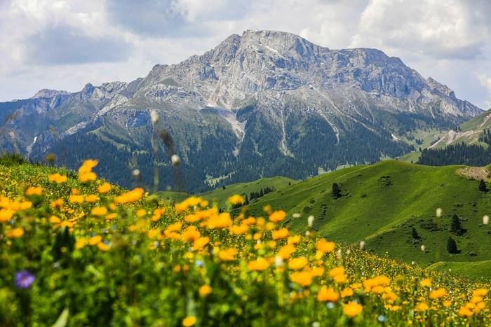 新疆伊昭公路：奇美風(fēng)光引客來