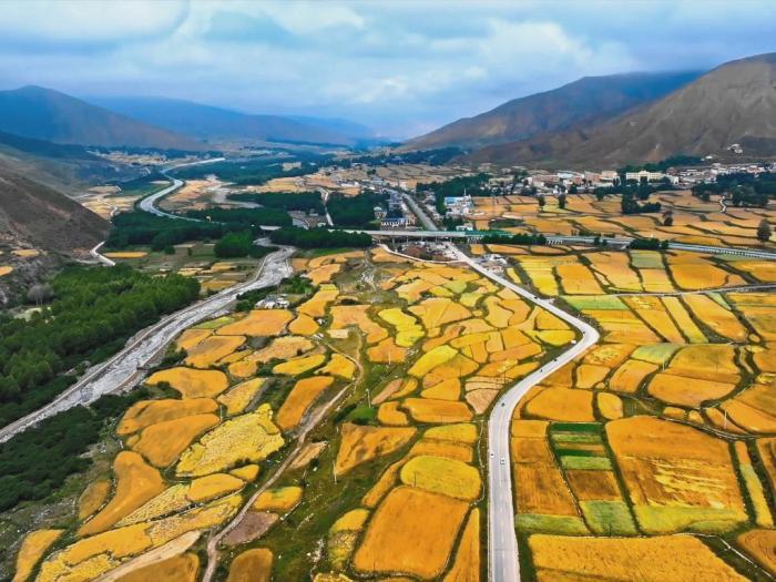 立秋時節(jié)高原青海“豐景”初現(xiàn)