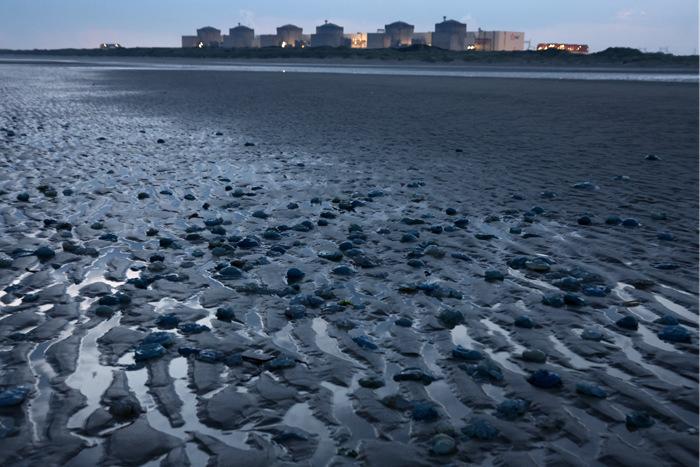 法國最大核電站因大量水母入侵導(dǎo)致停運(yùn)