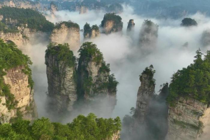 湖南張家界黃石寨壯闊云海覆峰巒