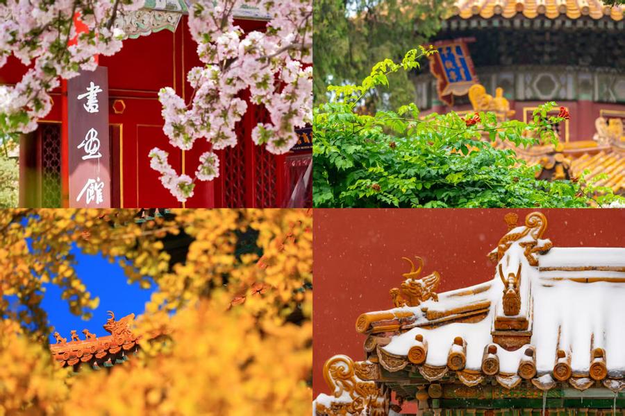 百歲快樂！一組圖領(lǐng)略故宮四季流轉(zhuǎn)之美