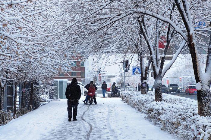 烏魯木齊迎大暴雪 24小時降水量破紀(jì)錄