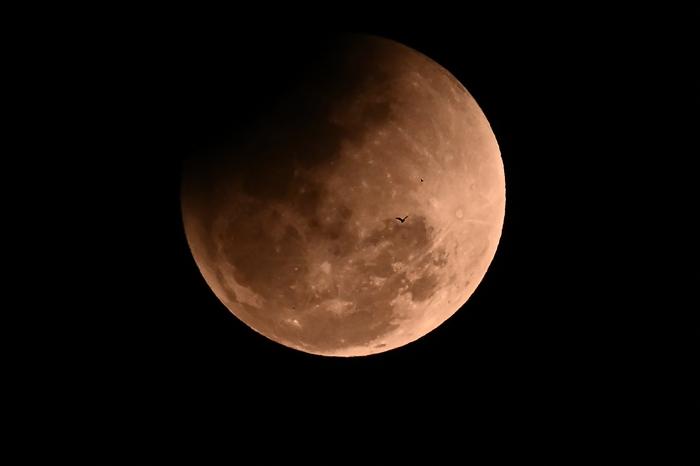 世界各地夜空升起“紅月亮”