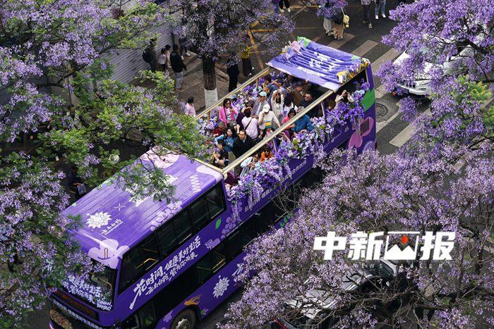 當(dāng)公路遇上繁花 城市“花路”撞色大片來了