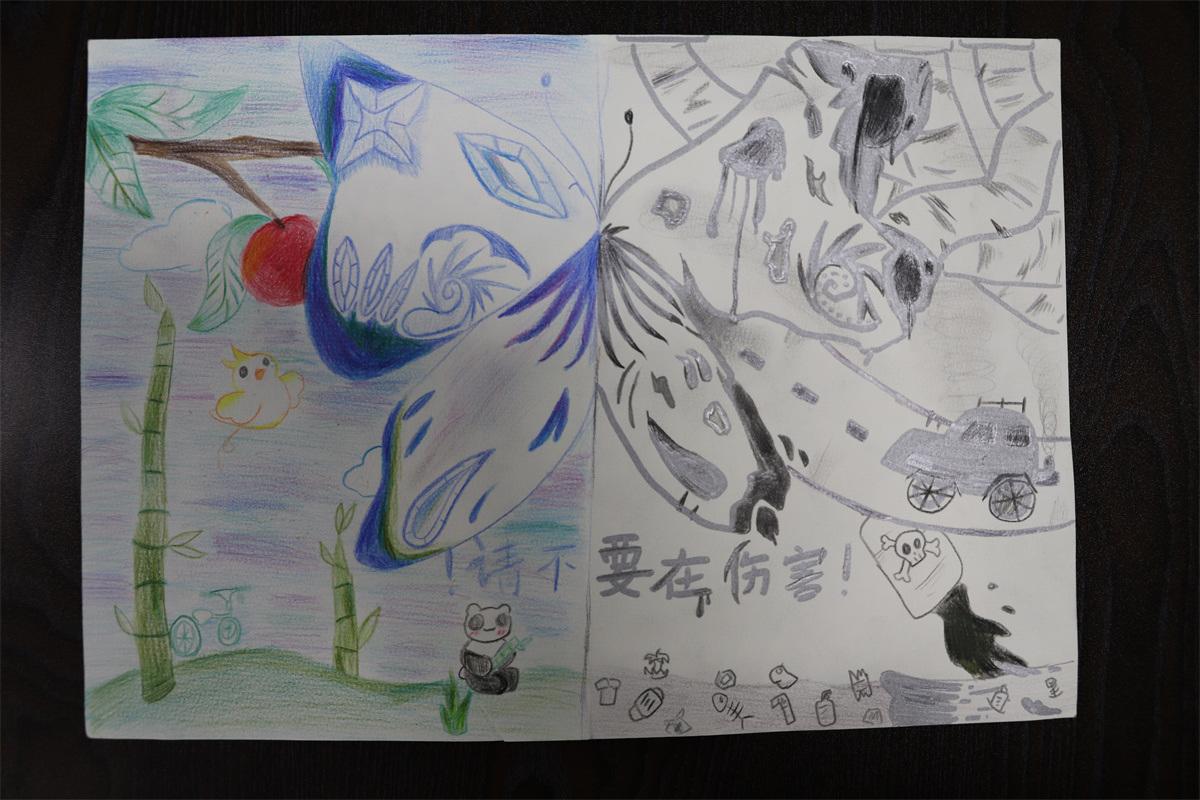 《請不要再傷害！》孫妙然 11歲