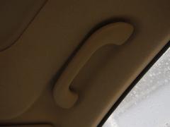 ����(n��i)��ÿ����nϵ܇���w�(y��n)Forte�����