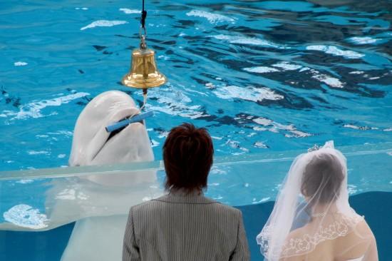 �M�D��һ���׺��������˳䮔(d��ng)���ɰ���