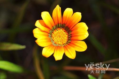 ʮһ���Ό��I(y��)֮�x �Ј����T�η����C���]