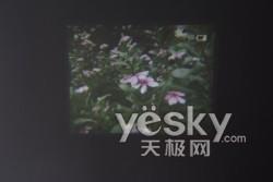 ��D�錦��ǰ���҈D�錦����