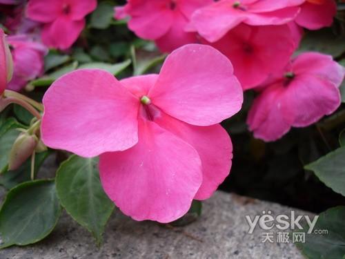 太空小丑平安著陸 智能長(zhǎng)焦數(shù)碼相機(jī)推薦