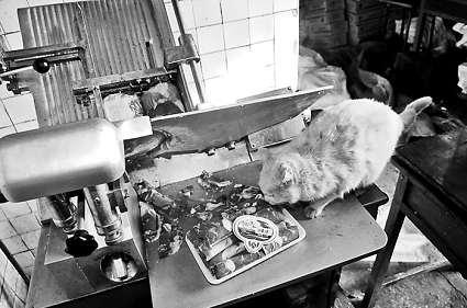 �и�õ���Ƭ�������ϵİ�ɫ��������؈���f����������Ƭ��ؓ(f��)؟(z��)�и���Ƭ��Ů�Ӵ󲿷֕r(sh��)��ҕ����Ҋ ���M�DƬ ����(b��o)ӛ�� ���� �z