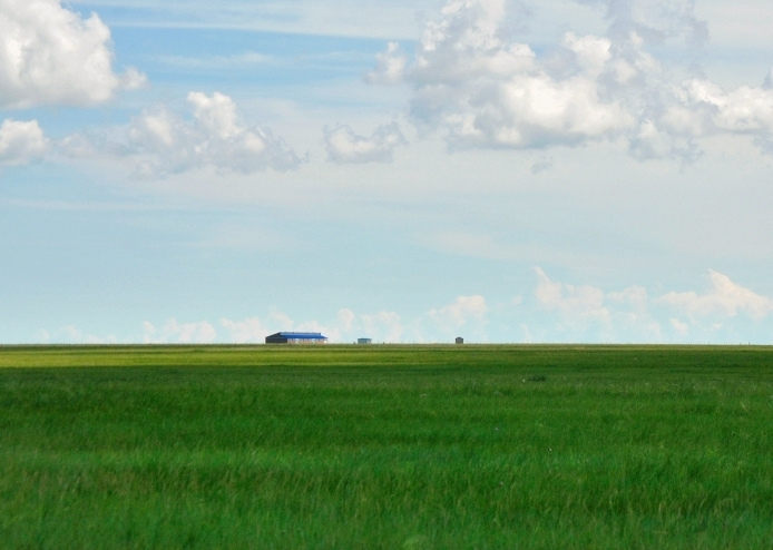這個(gè)夏天，留一幀給“呼倫貝爾綠”