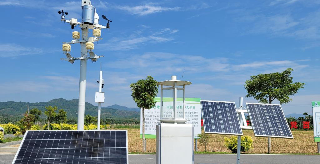 探訪在種業(yè)科研和創(chuàng)業(yè)熱土中成長的三亞“南繁硅谷”<p>晚秋的三亞，午間陽光依然炙熱。在崖州區(qū)壩頭南繁基地，由太陽能電池板提供能源，生態(tài)監(jiān)測系統(tǒng)、物聯(lián)網(wǎng)蟲情信息采集系統(tǒng)不間斷工作。<p>