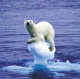 ��(y��ng)�����׃����ȫ���Є�