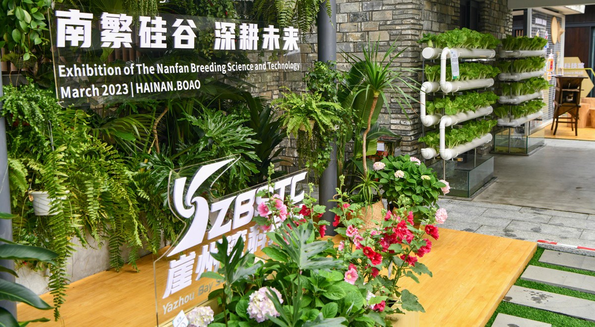 三亞攜南繁果實(shí)、深海利器亮相博鰲亞洲論壇年會(huì)