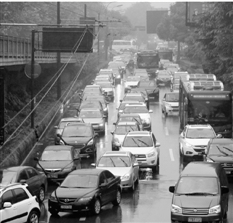 杭州無車日遇臺風網(wǎng)上點贊:天天這樣就好了(圖)