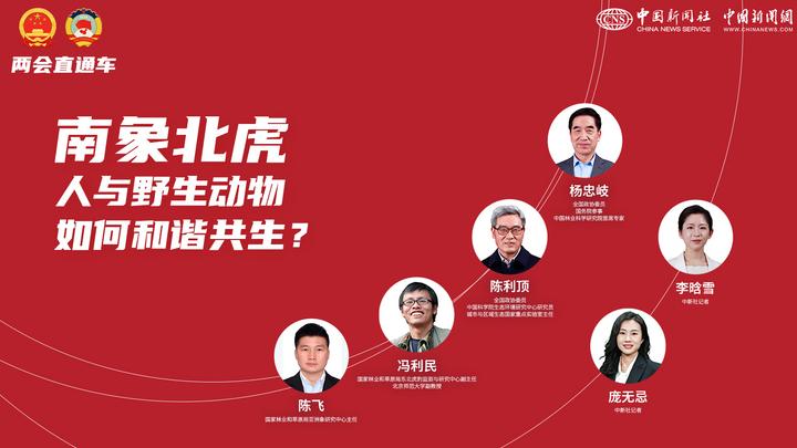 兩會(huì)直通車(chē)：南象北虎 人與野生動(dòng)物如何和諧共生？