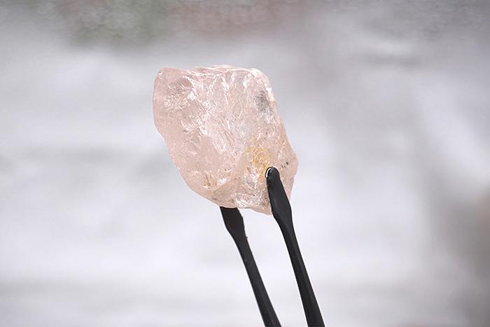 最大粉鉆長(zhǎng)啥樣？