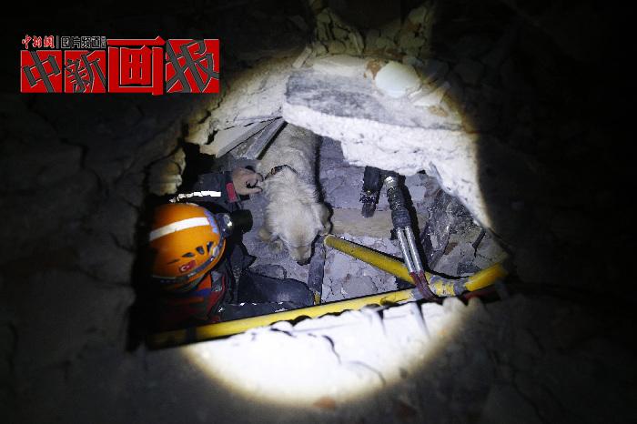 汪汪隊立大功！廢墟中尋找生命之光的搜救犬