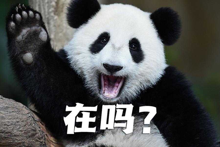 【世界微笑日特刊】嘿嘿，今天你笑了嗎？